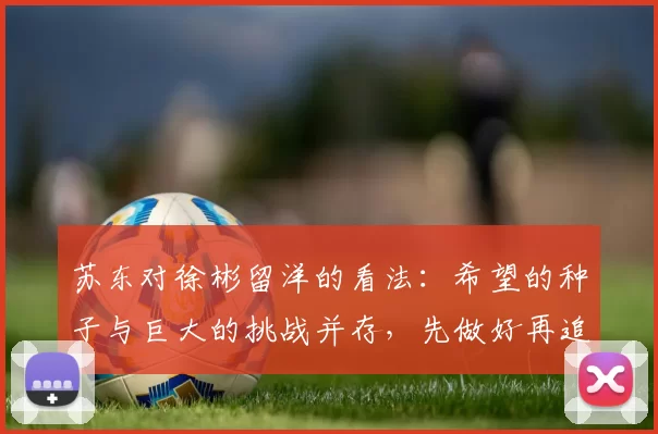 苏东对徐彬留洋的看法：希望的种子与巨大的挑战并存，先做好再追求完美